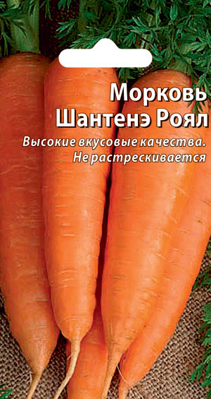 Лен.Морковь Шантанэ 2461